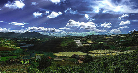 Miền Nam Việt Nam