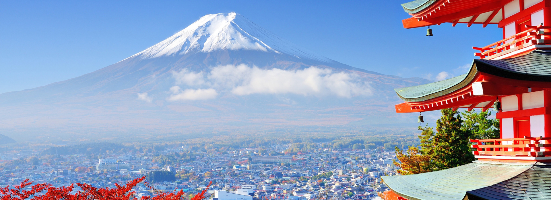 Làm việc tại Nhật Bản | Theo đuổi ước mơ với những cơ hội việc làm mới nhất tại Nhật Bản